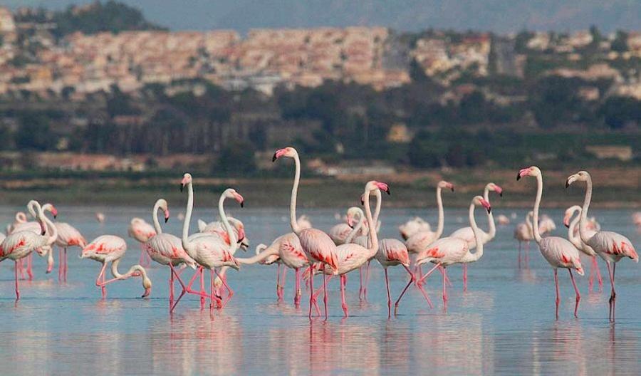 לה מאטה Апартаменты В Парковой Зоне С Видом На Море מראה חיצוני תמונה